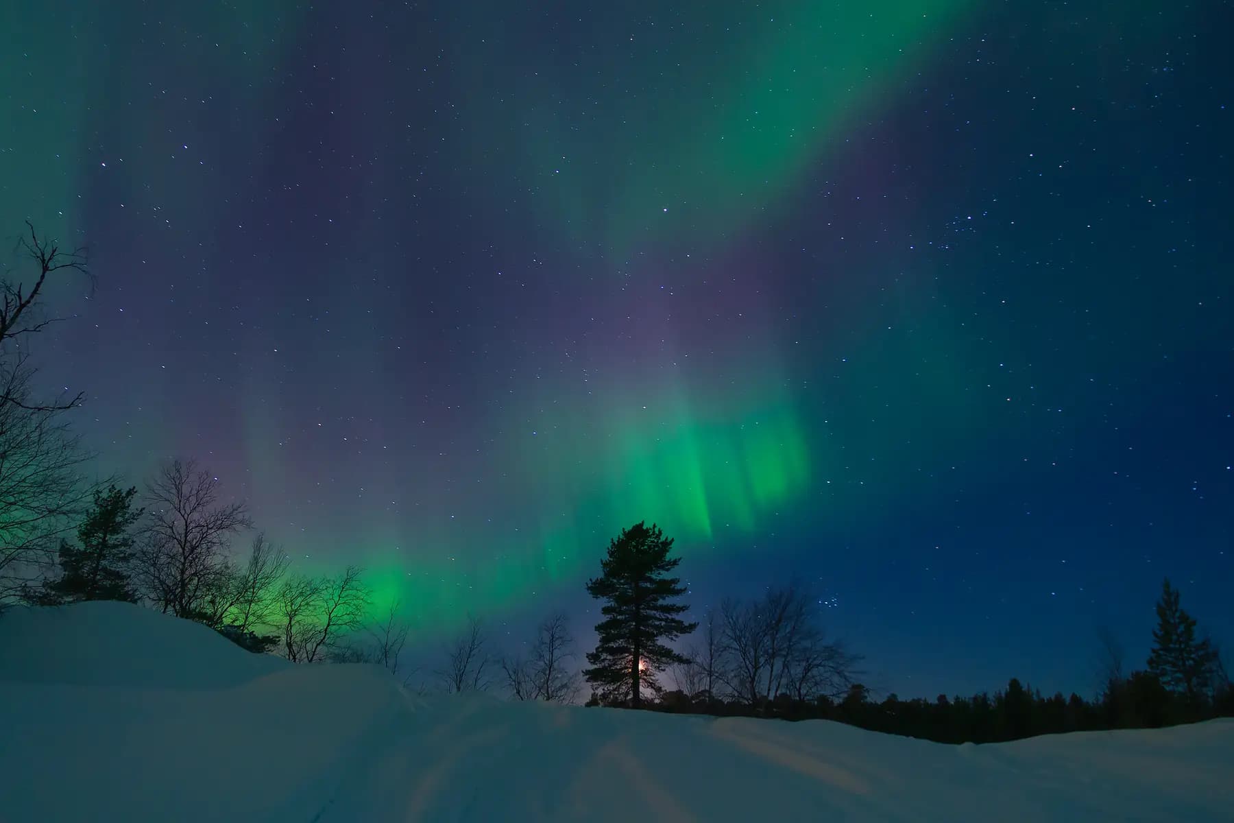 Laponya: Kuzey ışıkları, Husky safari, Rovaniemi, Kar