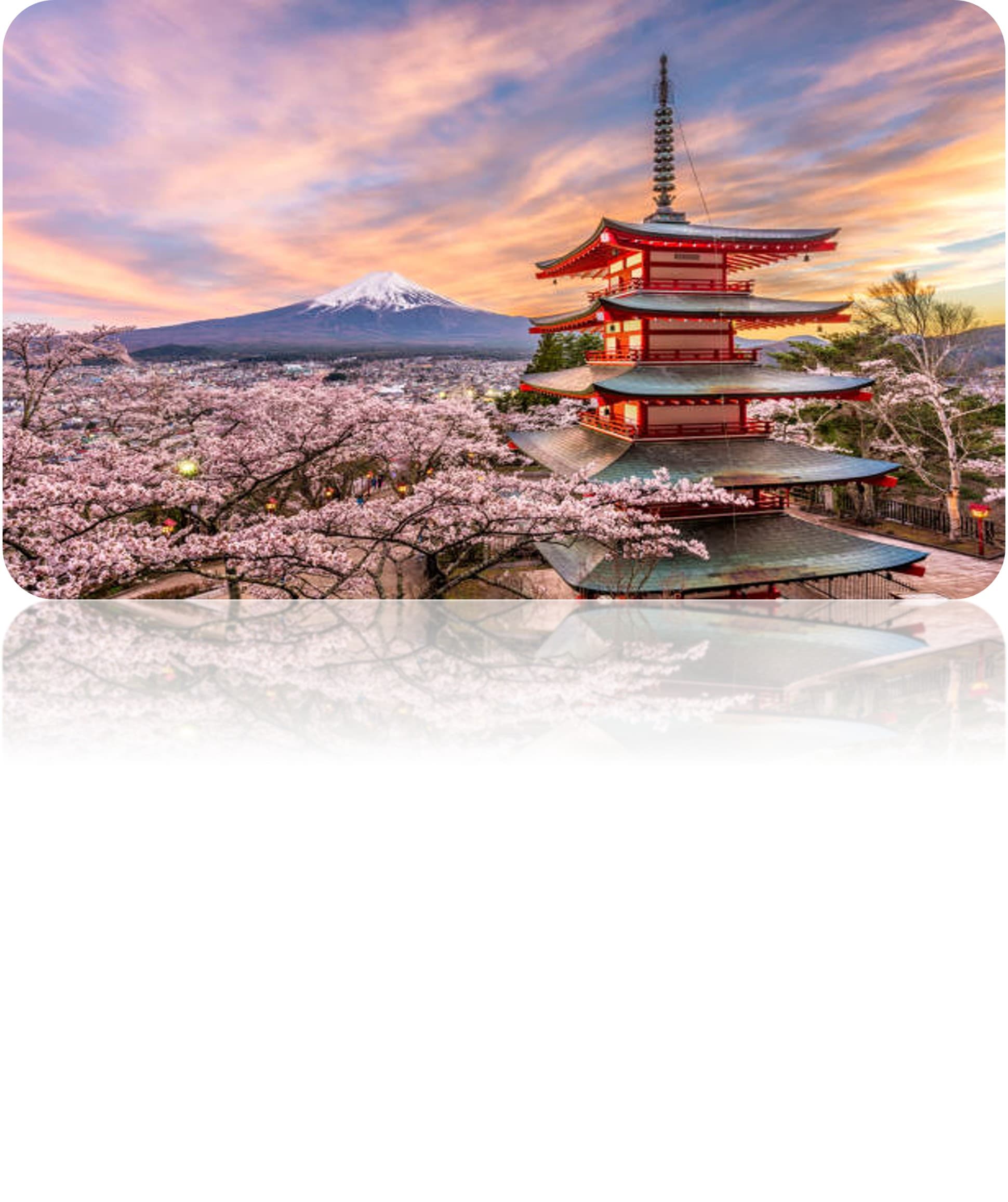 G.Kore&Japonya